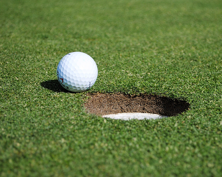 Imagebild Region: Golfball vor einem Golfloch